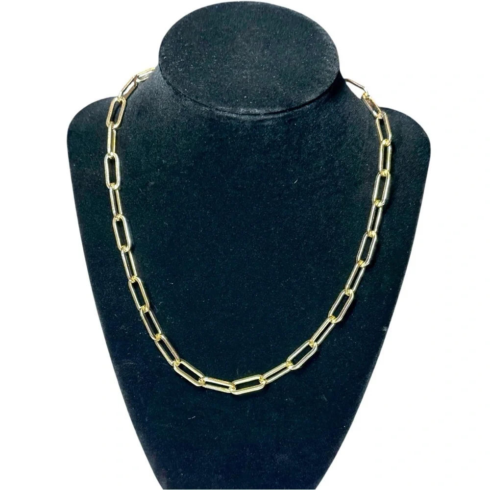 Banana Republic Elegant Gold Tone Chain 20